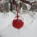  ,  -  21  2014    2014