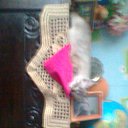 ���� �� ������� �� ������� ���� ����������