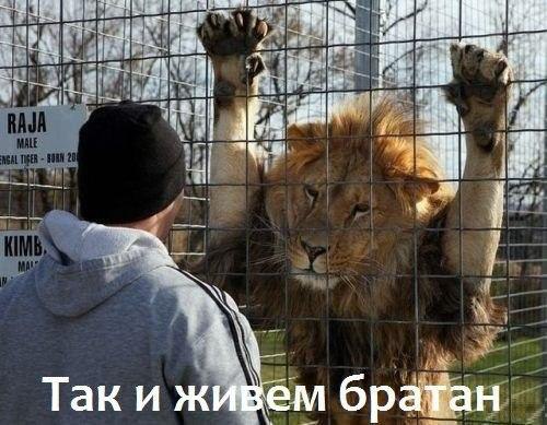    :-) - 13  2014  04:20