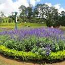 ������� �� ������� ����� ������ � ������ (�������)�