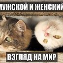 ���� �����, �����, 61 ��� - ��������� 2 �������� 2014 � ������ ������ ��������