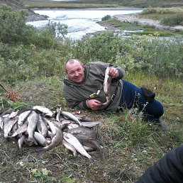 �������, ������, 59 ���