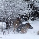  - 24.04.2014     - 2014