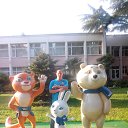  , -, 49  -  30  2014    