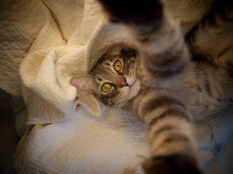 The Best Music - 16 ������� 2014 � 15:50 - 7