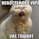 ���� ]{() � � -�]{ @, ������-��-���� - ��������� 23 �������� 2014 � ������ ������� --�� !!!�
