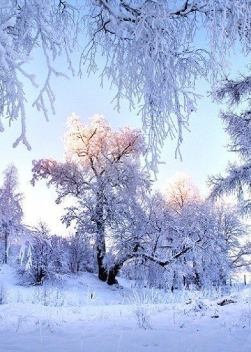 Art & Fun - 4 декабря 2014 в 13:04 - 2