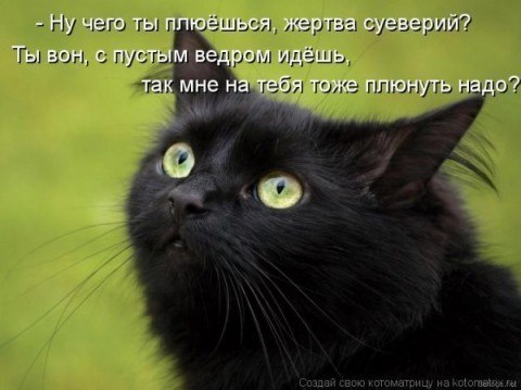  - 8  2014  04:17