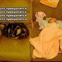 ���� �����, ������, 46 ��� - ��������� 24 ������� 2014 � ������ ������ ��������