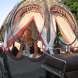 ���� ������, ������, 79 ��� - ��������� 29 �������� 2014