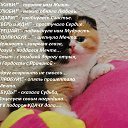 ......)))))))))))))))))))))............... �� ������� ���� ����������