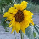 ���� �������, �����������, 60 ��� - ��������� 22 ������� 2014 � ������ ���� ����������