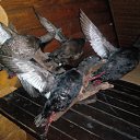 ���� �������, ������ ������� - ��������� 28 ������ 2014 � ������ ��