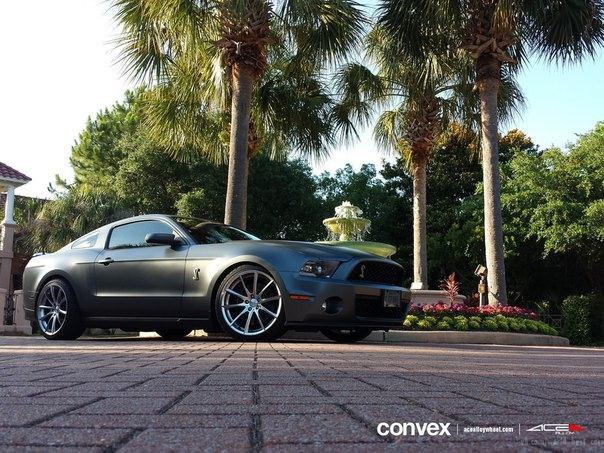 Shelby GT500 on ACE ALLOY Convex Wheels. - 4