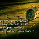 ���� ����, ���� - ��������� 24 ������� 2014 � ������ ������ ��������