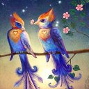 ���� ��������, ������, 51 ��� - ��������� 28 ������� 2014 � ������ ������ ��������