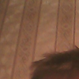 Alex, ������������, 45 ���