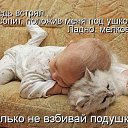 ���� ������, ������, 54 ���� - ��������� 23 ������ 2014 � ������ ������ ��������