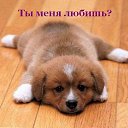 ���� Murad, ����, 22 ���� - ��������� 8 ������ 2014 � ������ ������ ��������