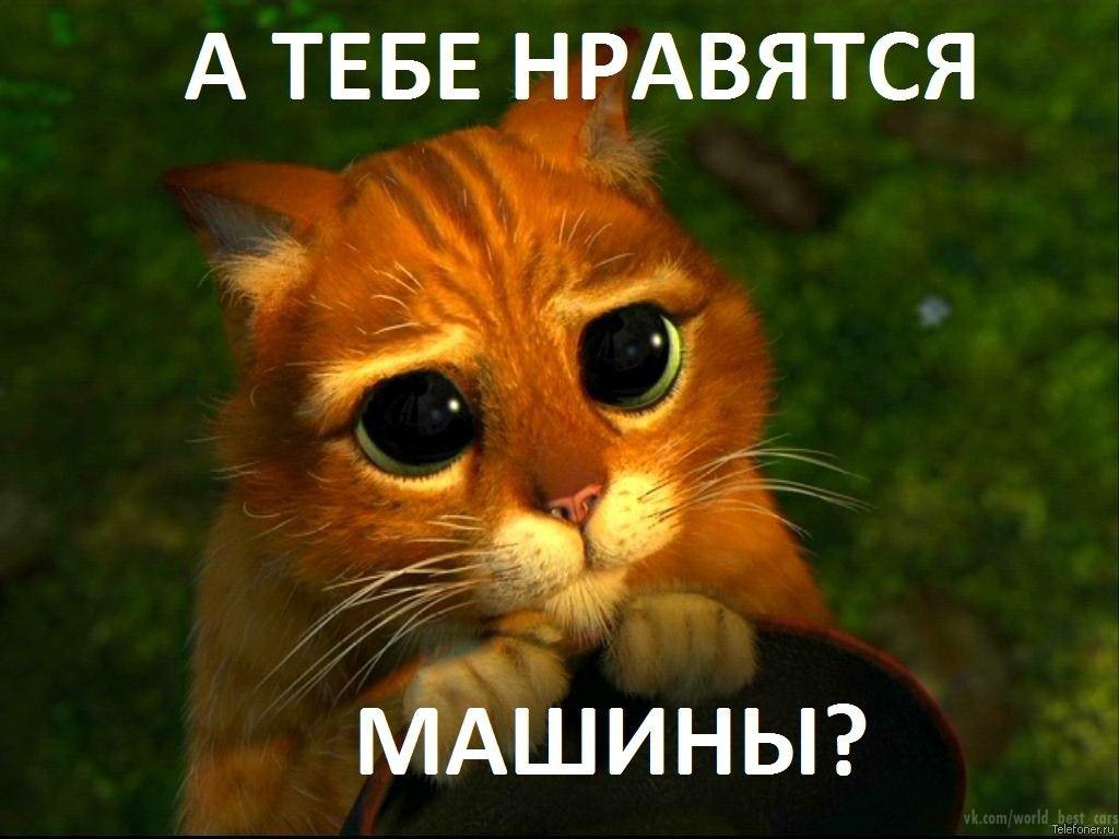    - 10  2014  02:24