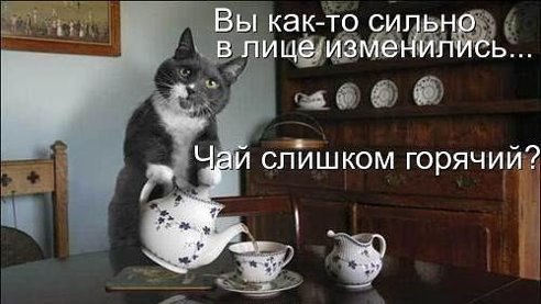  ! -   .   ,    ... - 3