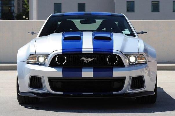 Ford Mustang Shelby GT 500 - 3