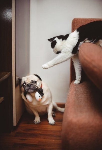 ����������� (18+) - 7 ������� 2014 � 22:34