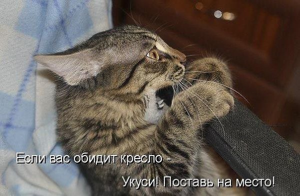  - 6  2014  22:09