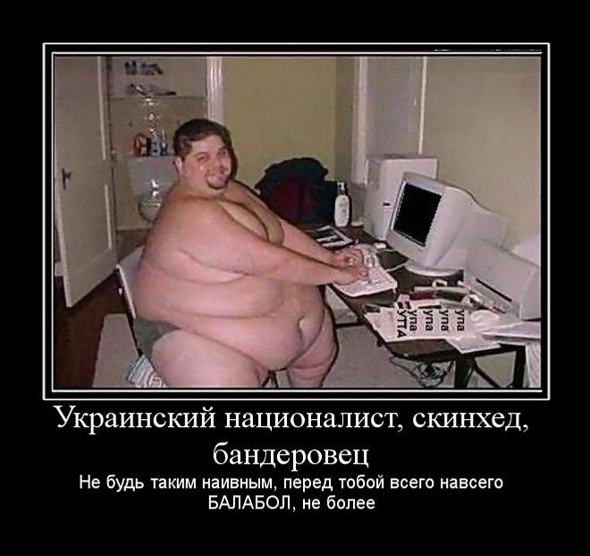  - 16  2014  12:59