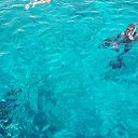 ���� �����, ���������, 72 ���� - ��������� 22 ������ 2014 � ������ ������� ���� -���- �����