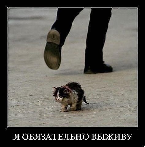    :D - 19  2014  20:52