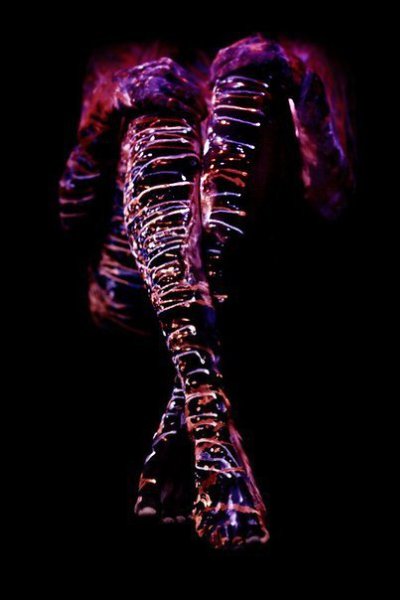 Серия фотографий “Пейзажи тела“.Фотограф John Poppleton - 6