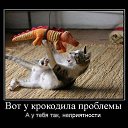 ���� ������, ������� - ��������� 2 ������� 2014 � ������ ������ ��������