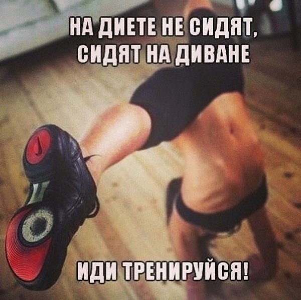 SportFeed - 15  2014  11:14