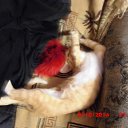 ���� ���� �� ������� �������