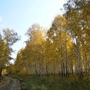 ���� ��������, ���������, 39 ��� - ��������� 9 ������ 2014 � ������ ������ ��������