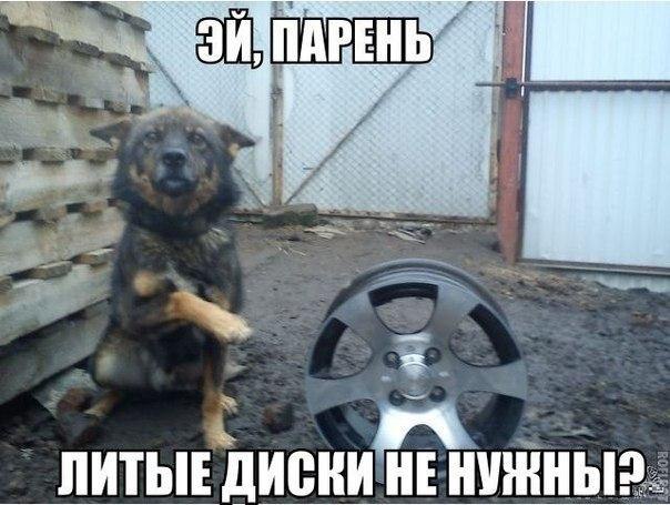    - 6  2014  17:13