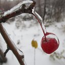  ,  -  21  2014    2014