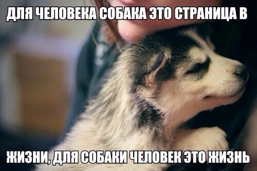 Just be strong. - 12  2014  05:18
