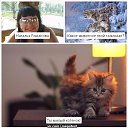 ���� �������, ����� - ��������� 14 �������� 2014 � ������ ������ ��������