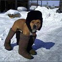  Itopa (Big John), , 50  -  3  2014    