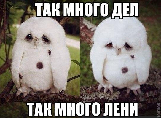    :D - 9  2014  10:03