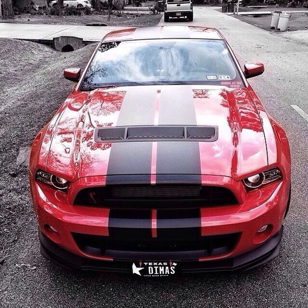 Shelby GT500. - 5