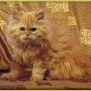 ���� �������, ���� - ��������� 23 ������� 2014 � ������ ���� ����� �����)))�