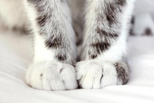  :3