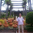  V. V. $., , 52  -  6  2014    ߻