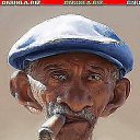  Murzo, , 41  -  1  2014
