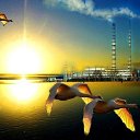 ���� ������, �����������, 66 ��� - ��������� 12 ������� 2014 � ������ ���� ����������