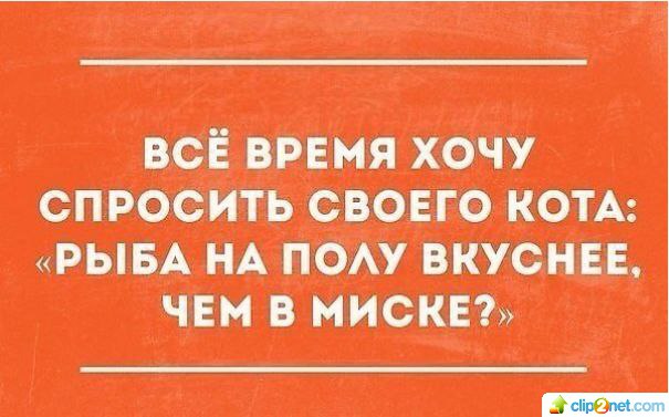  - 10  2014  17:20