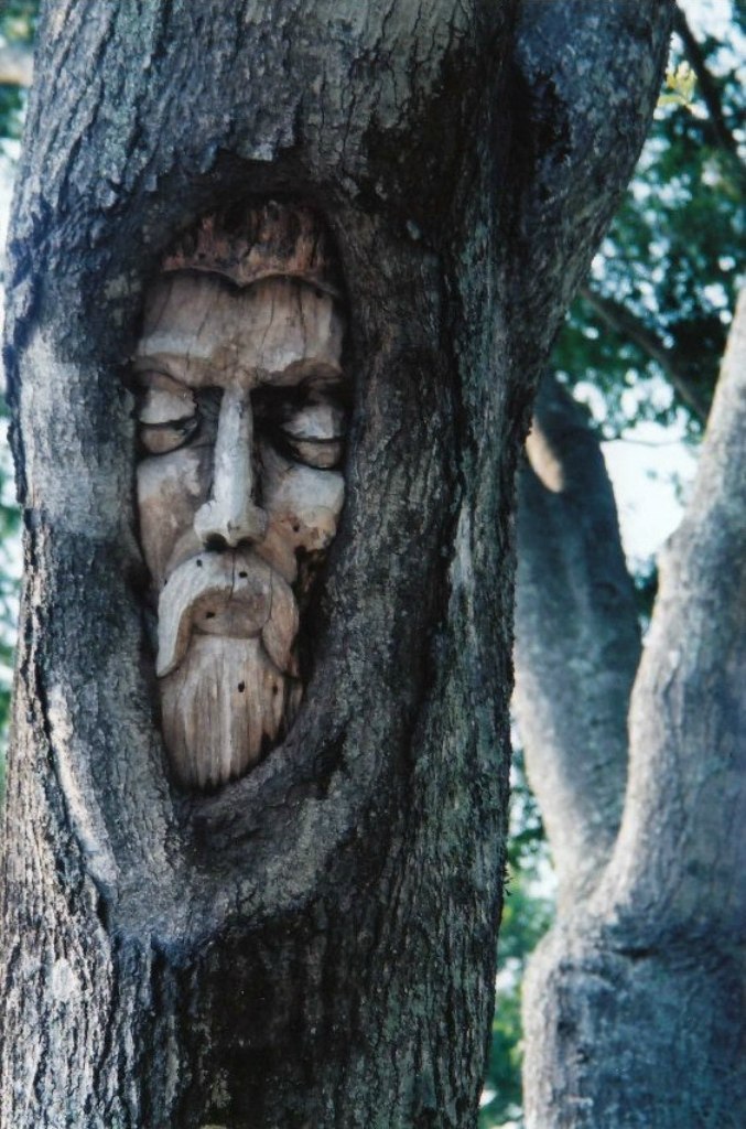  .        Tree Spirits,   ... - 7